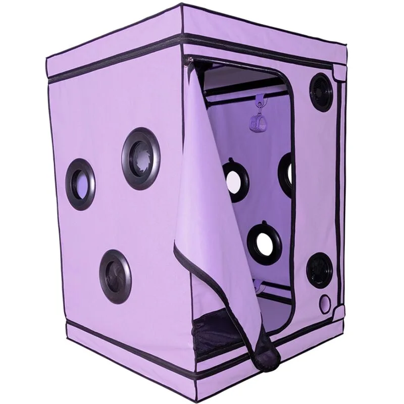 SECRET DOME - ESCÂNDALO ROXO DO CLUBE KINK