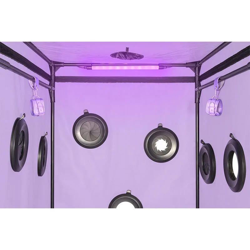 SECRET DOME - ESCÂNDALO ROXO DO CLUBE KINK