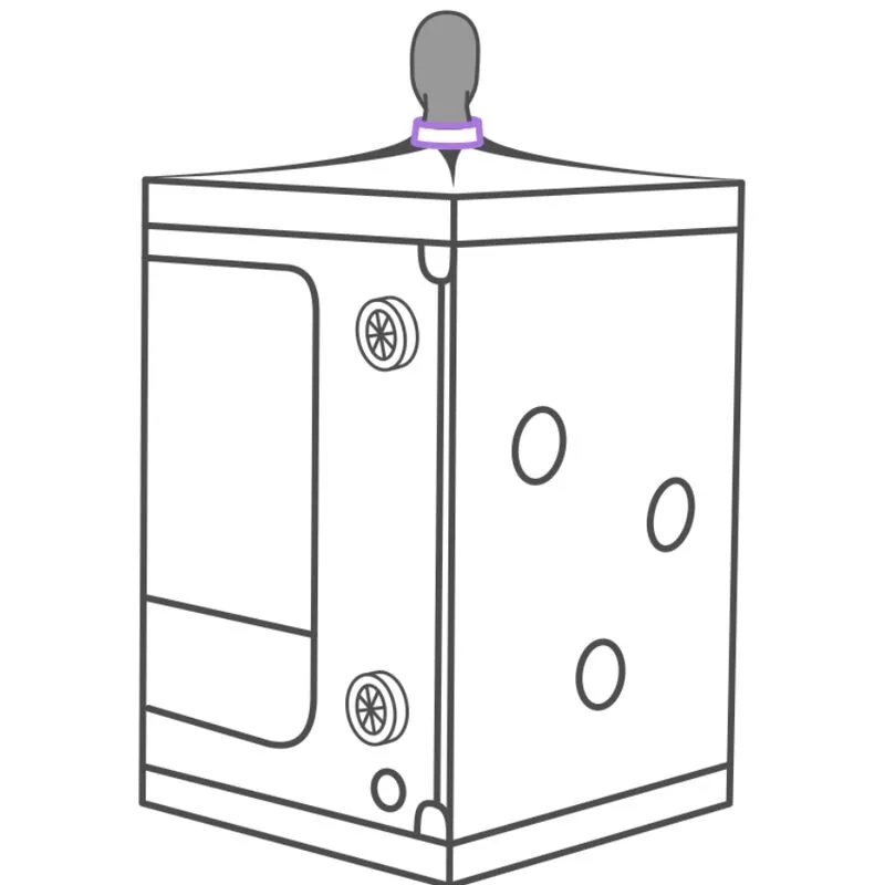 SECRET DOME - ESCÂNDALO ROXO DO CLUBE KINK