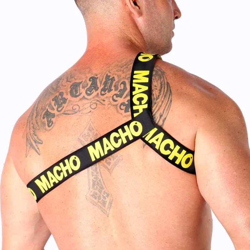 MACHO - ARNÊS ROMANO AMARELO