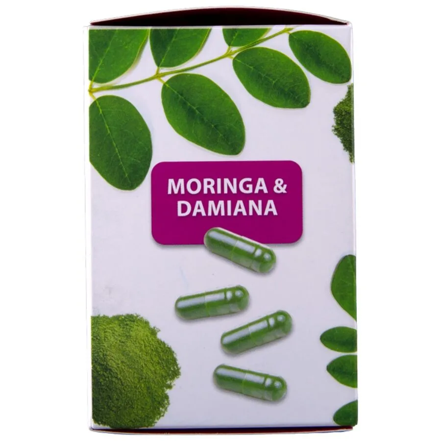 HOT - MORINGA BONÉS DE FEMININOS 60 UNIDADES