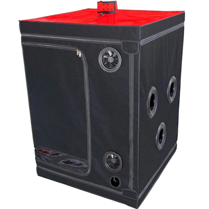SECRET DOME - KINK CLUB CABIN SCANDALE BLACK & RED